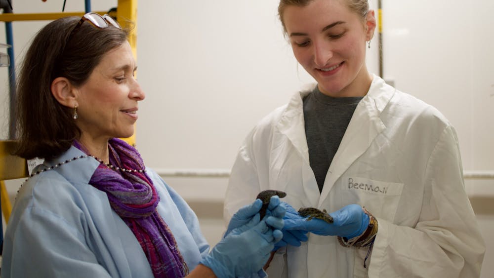 Rio-Tsonis started studying salamanders because she was interested in cancer research.