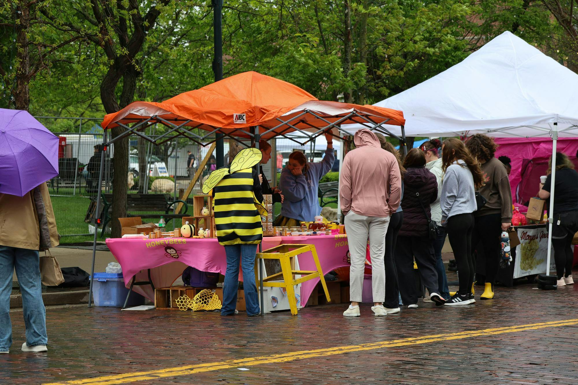 People stand by the honeybee booth during the Bee Festival.