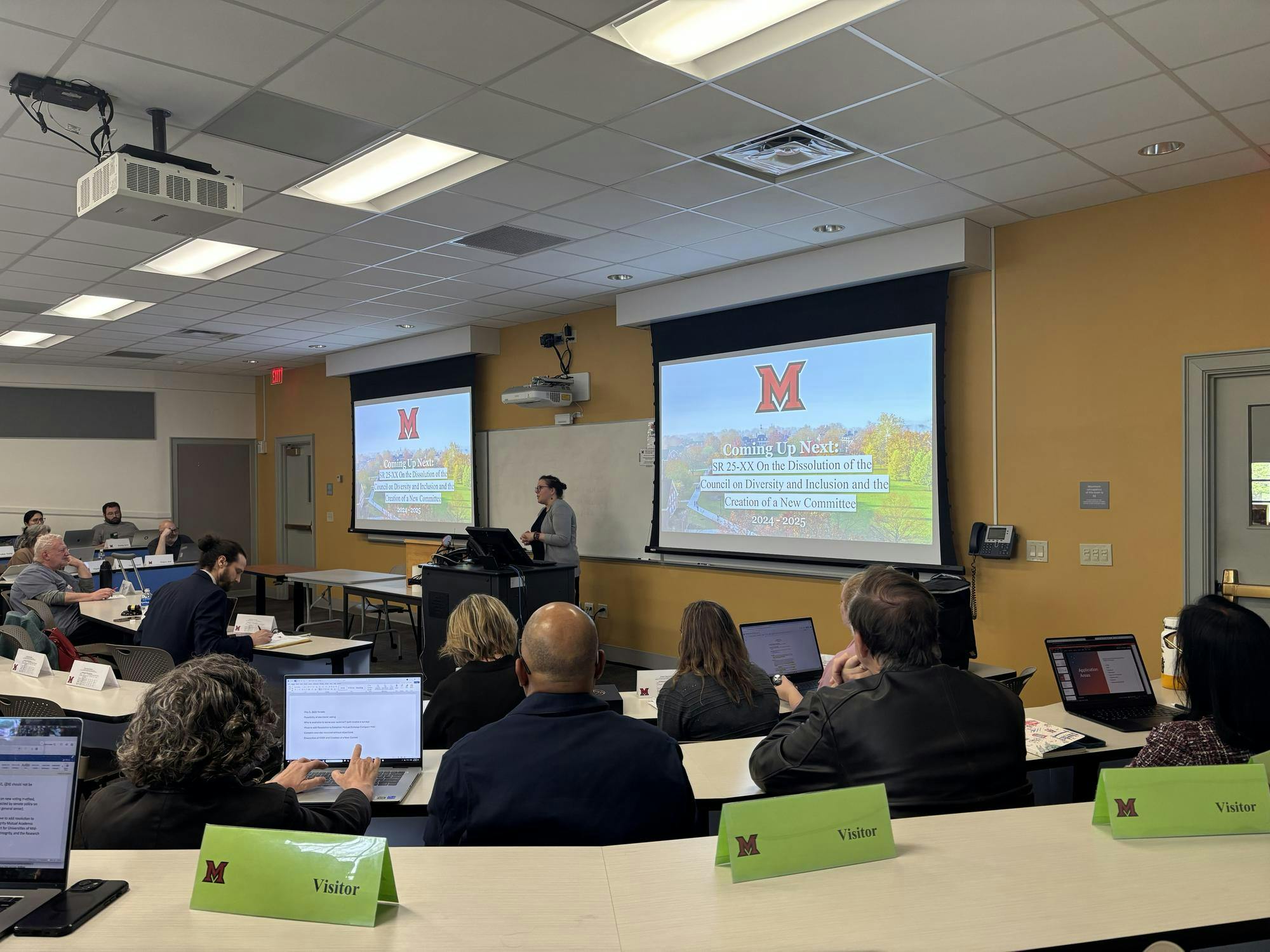 Rosemary Pennington, chair of the Department of Media, Journalism and Film, talked during the senate meeting on May 5 about the proposed ending to the Committee on Diversity and Inclusion. 