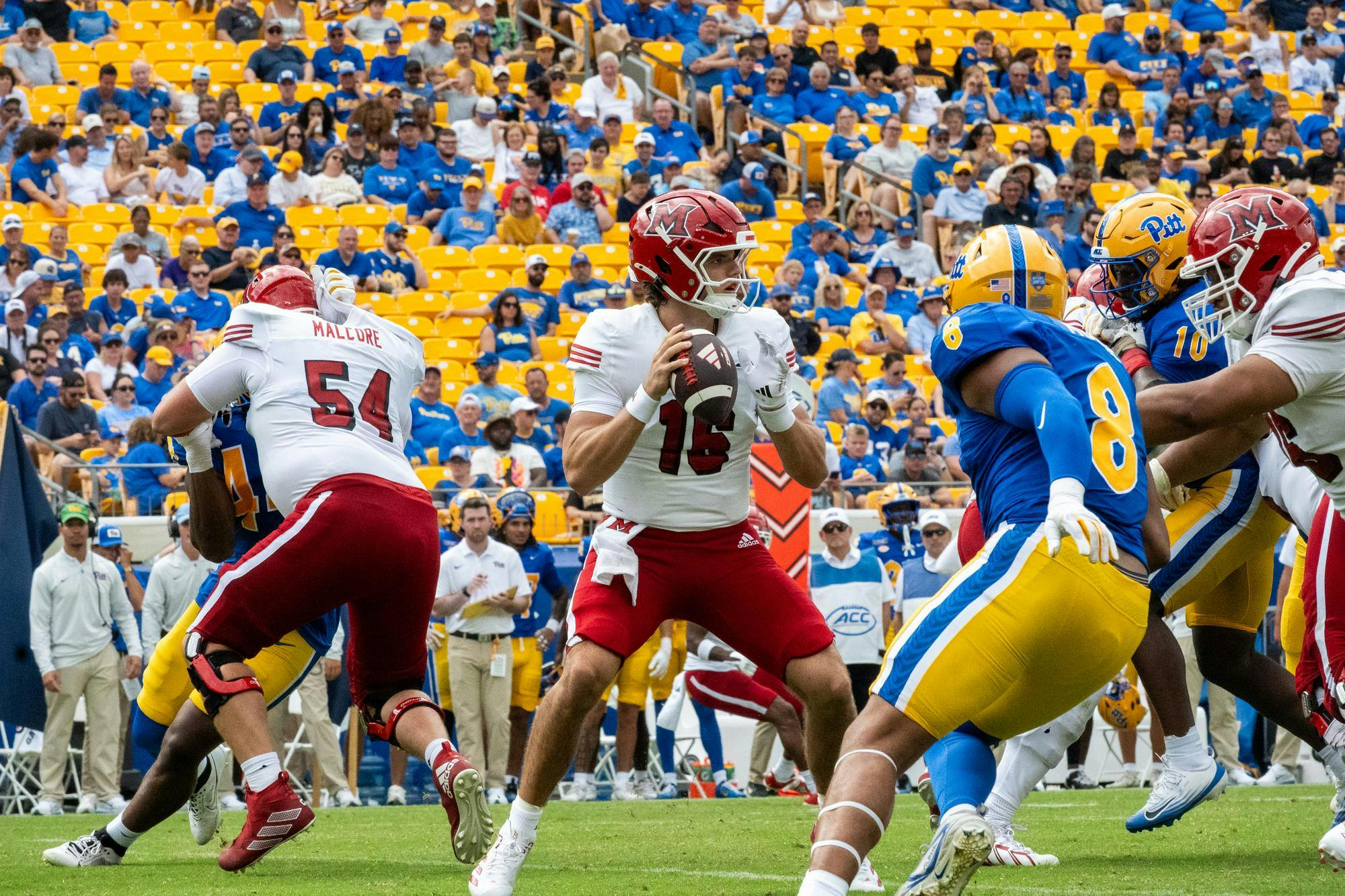 Redshirt freshman Quarterback David McComb drops back to pass in game against the University of Pittsburgh on Sept. 5.
