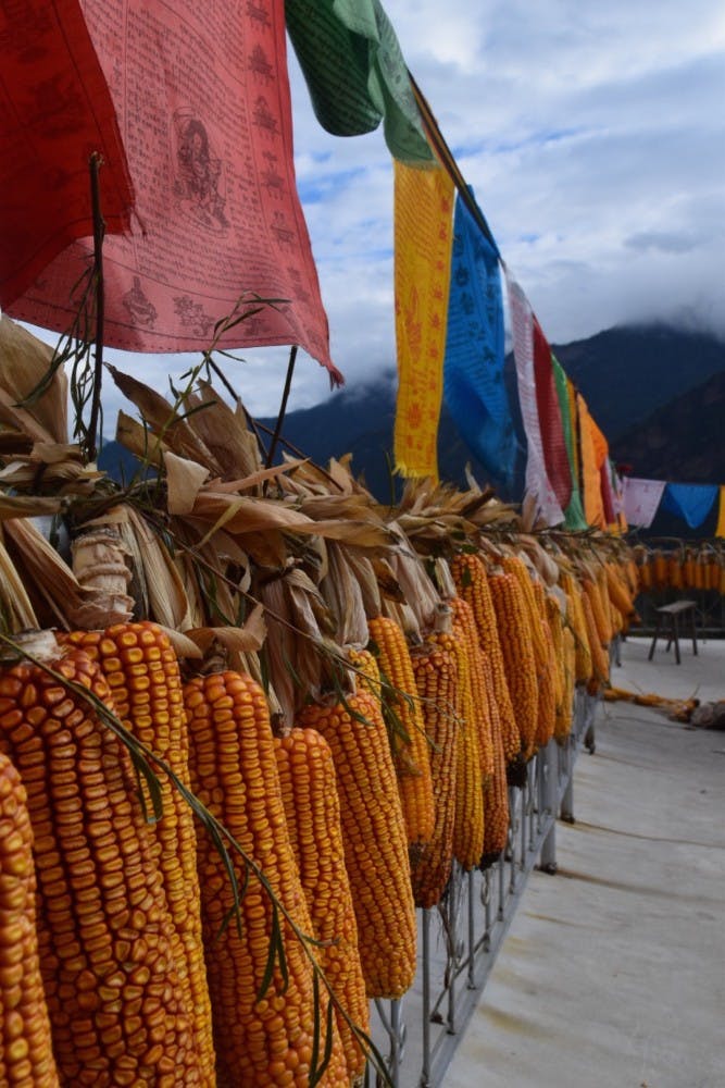Prayer flags on top of Day's hostel in Zhonglu | Photo by Angela Day