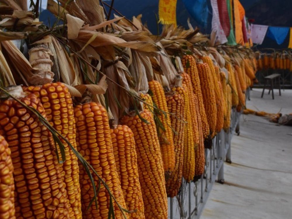 Prayer flags on top of Day's hostel in Zhonglu | Photo by Angela Day