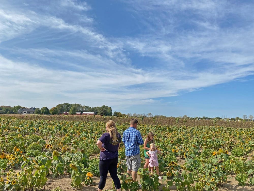 In spite of COVID restrictions, many families are finding fall fun at pumpkin patches and autumn farms this year. Photo by Grace Killian. 