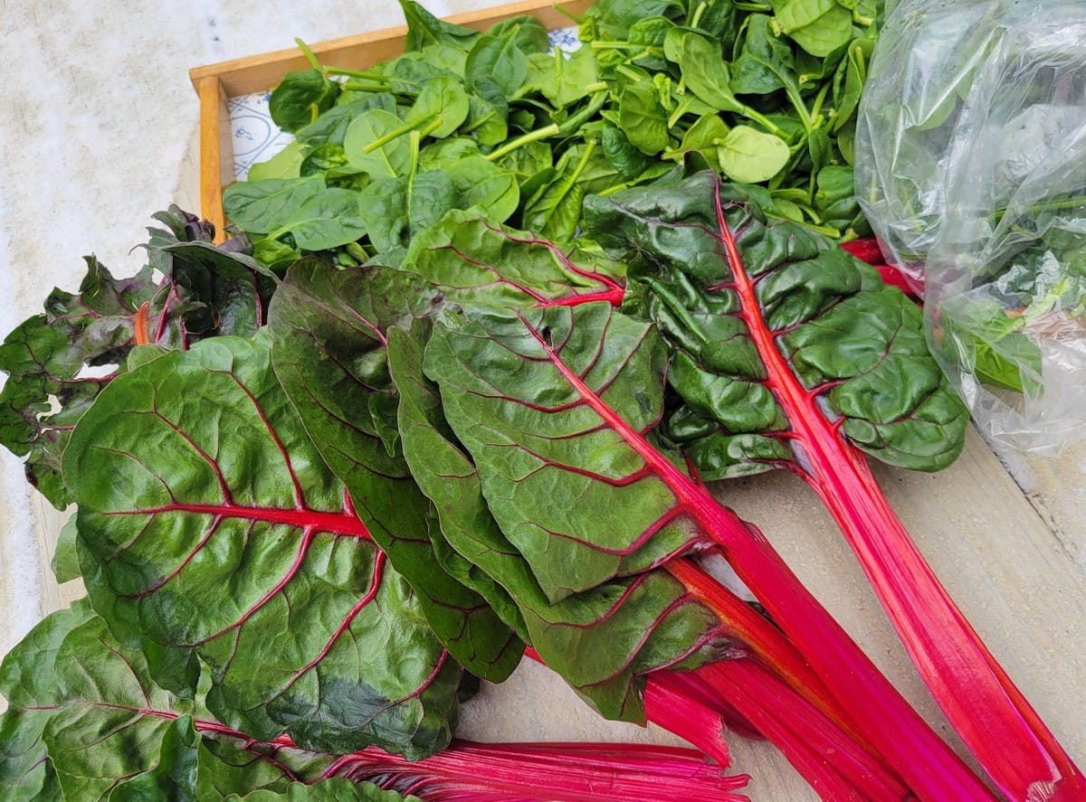 7 Wonders Farm Swiss chard and Five Oaks Farm ﻿spinach at the Oxford Farmers Market. 
