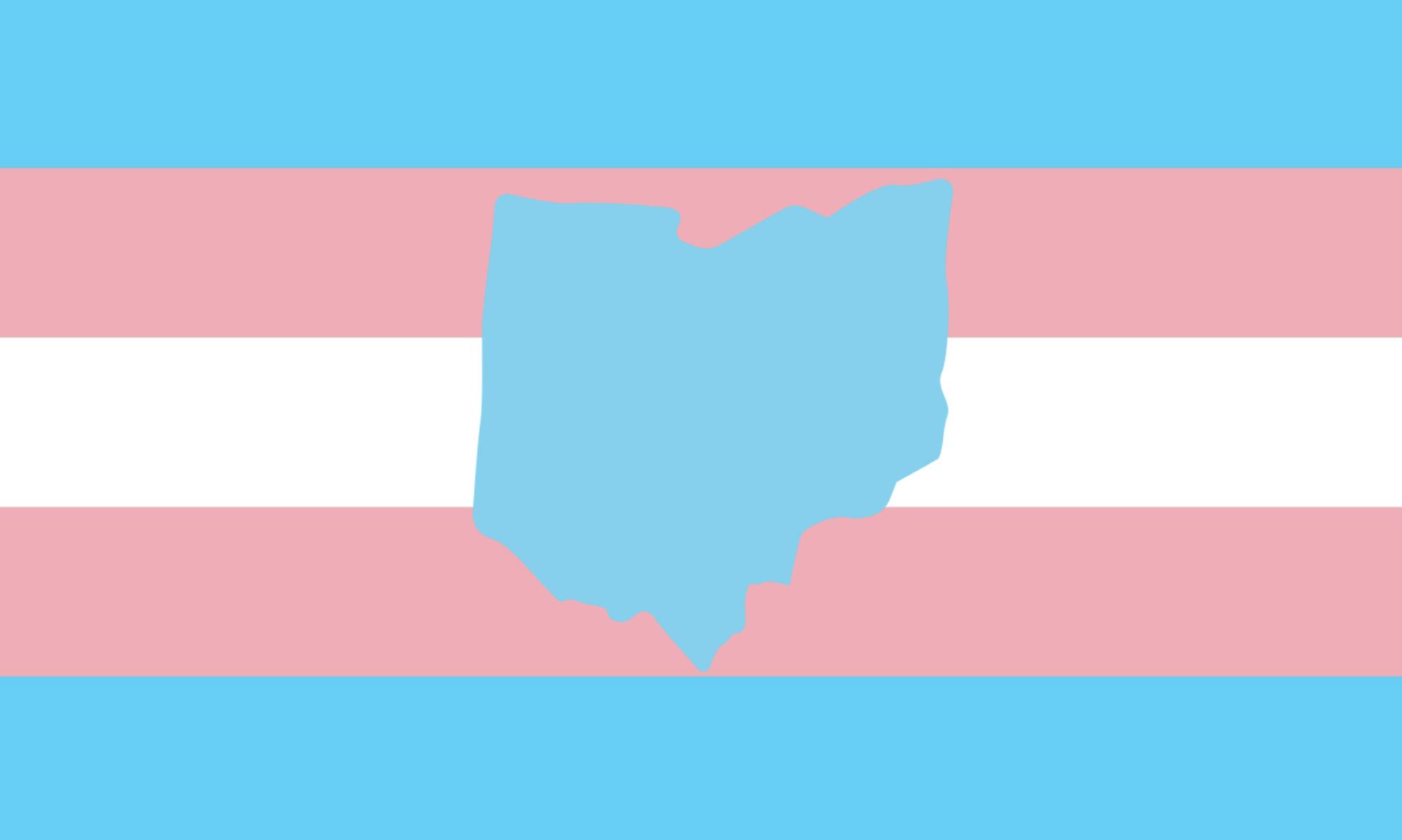 As the Ohio state government works to inhibit transgender care, some transgener students are speaking out.