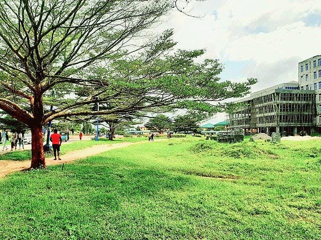 Demartravion “Trey” Reed was a student at Delta State University. Photo from Wikimedia Commons