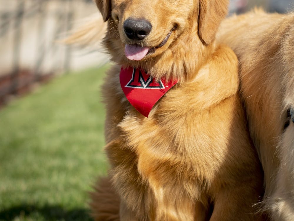 Greg and Renate Crawford adopted a new golden retriever: Newton.
