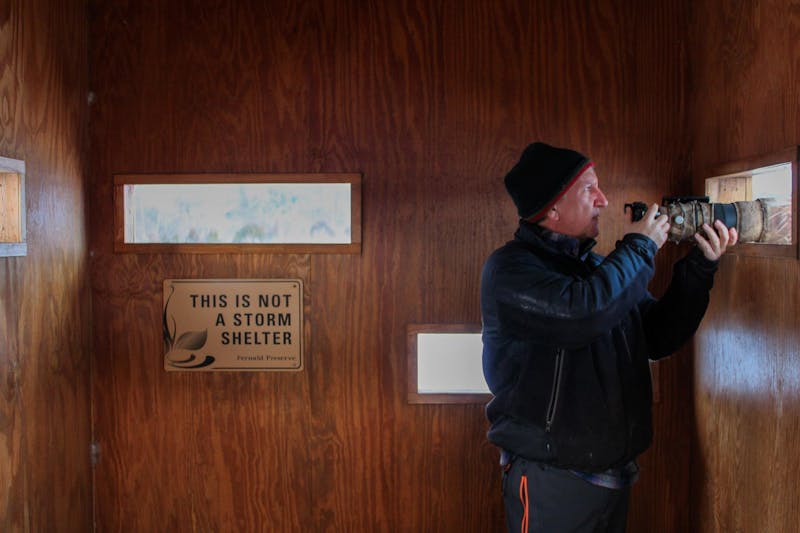 Fernald Preserve showcases wildlife during winter bird festival