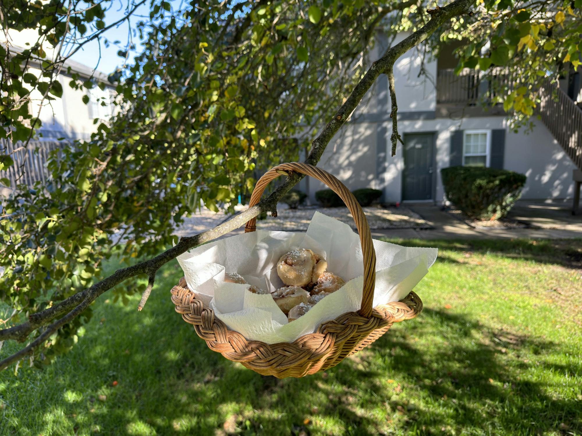 The toasted rolls were even more beautiful and delicious outside in the autumn sun.