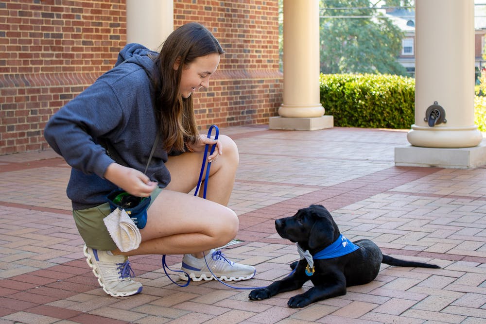 <p>Laurel Logemann trains Zorro during the day with different techniques preparing him to be a guide dog.</p>