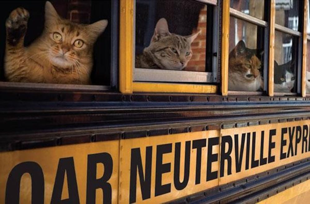 The “Neuterville Express” (purely metaphorical) provides transportation for cats to and from the spay/neuter clinic in Cincinnati.