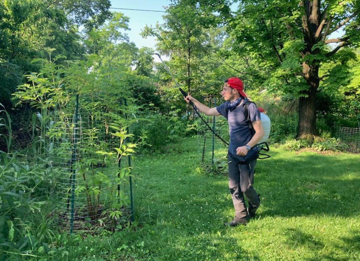 Iñaki Prádanos-Garcia is a lifelong learner and even cultivates his own food forest.