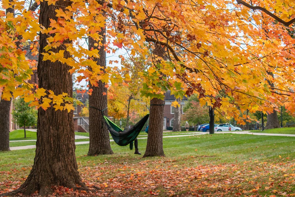 Though leaves across campus have gone gold, temperatures stayed high enough for students to lounge outside and enjoy the colors up close.