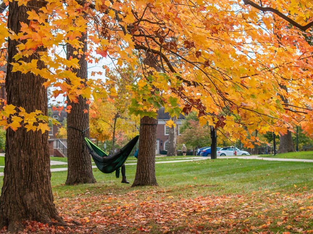 Though leaves across campus have gone gold, temperatures stayed high enough for students to lounge outside and enjoy the colors up close.