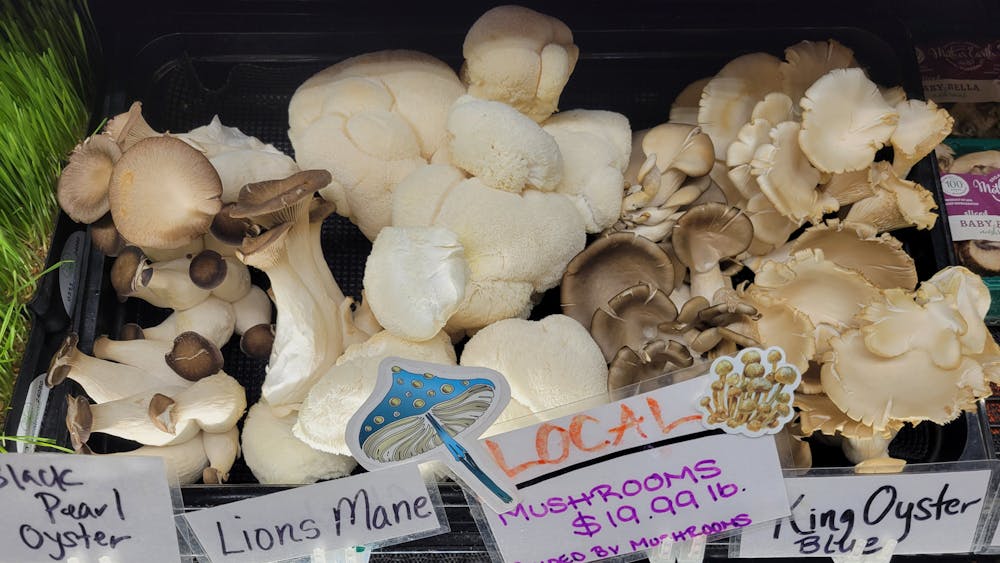 There is a variety of mushrooms sold at MOON Co-op and grown at Guided By Mushroom's farm. 