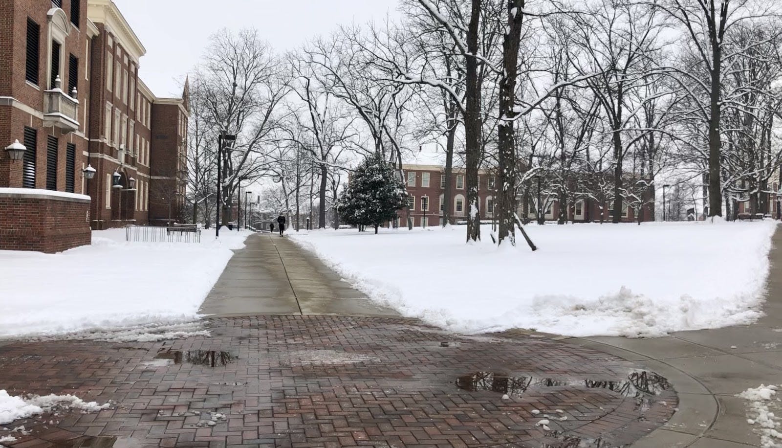 With online classes as the norm, the future of snow days are unclear. 