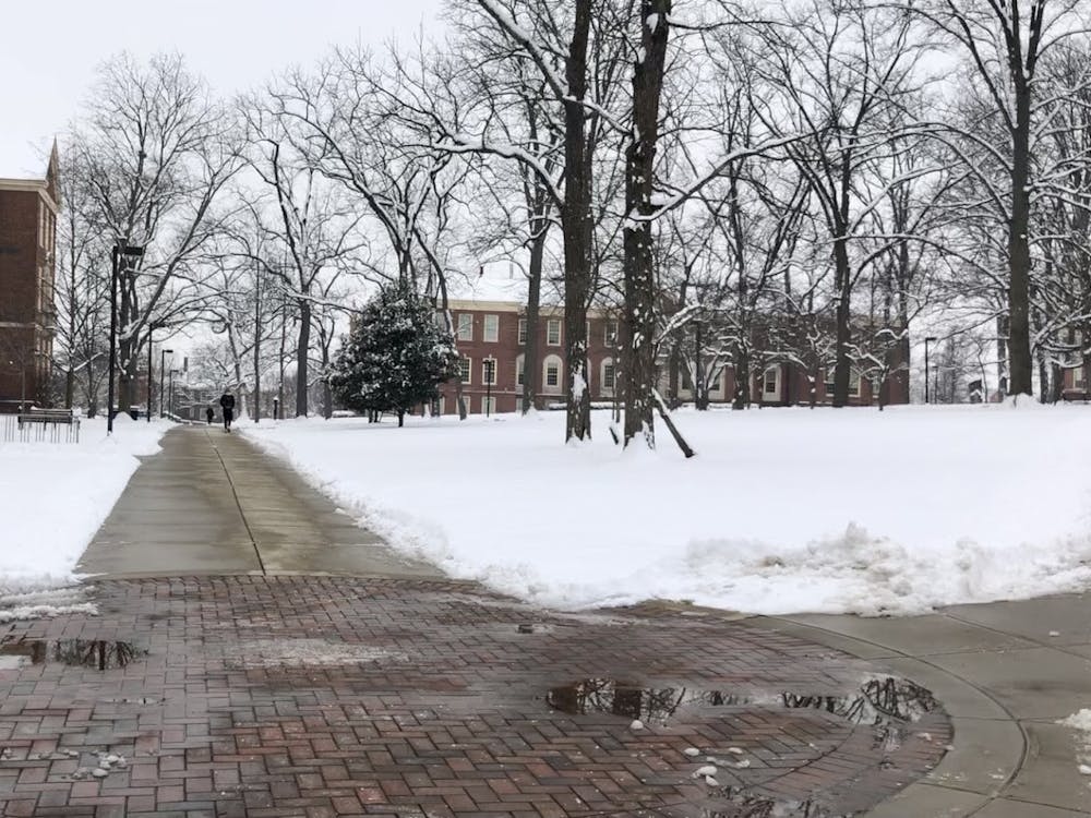 With online classes as the norm, the future of snow days are unclear. 
