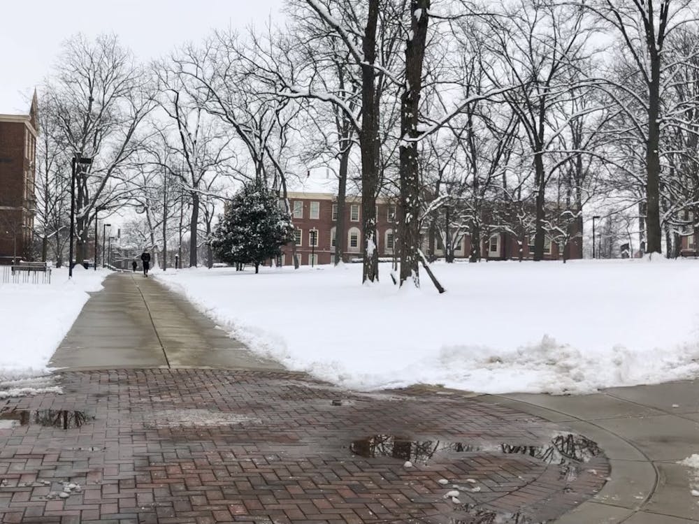 With online classes as the norm, the future of snow days are unclear.