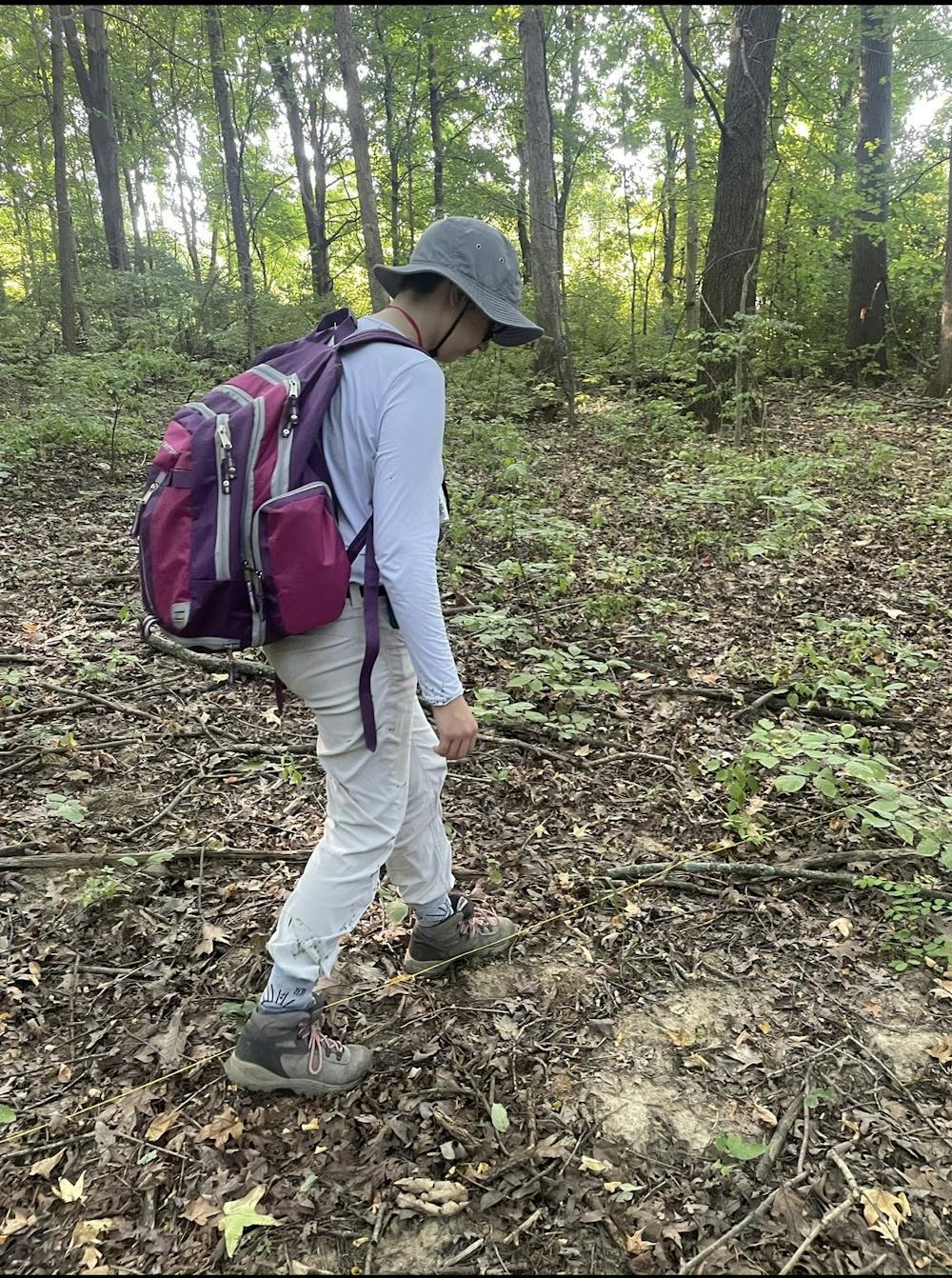 <p>Master&#x27;s student Haley Weber walks along a transect looking for deer fecal pellets. To estimate deer population density, she will measure how far away the pellets lie and rate of decay, and plug them into an equation. Provided by Haley Weber</p>