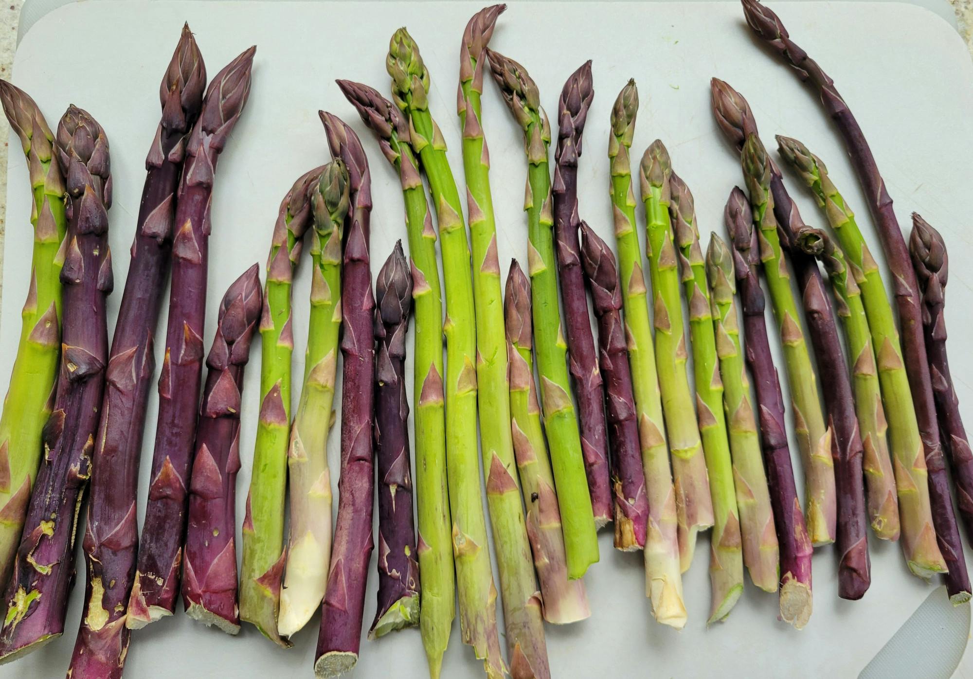 Local asparagus pictured from large to small.