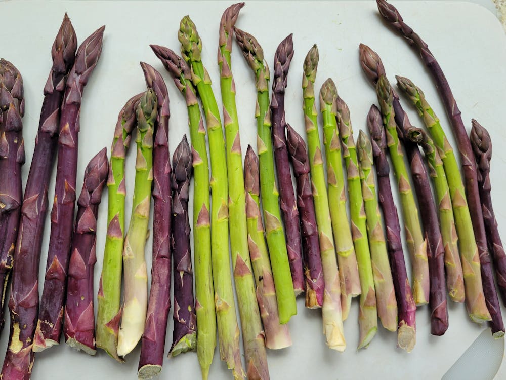 Local asparagus pictured from large to small.