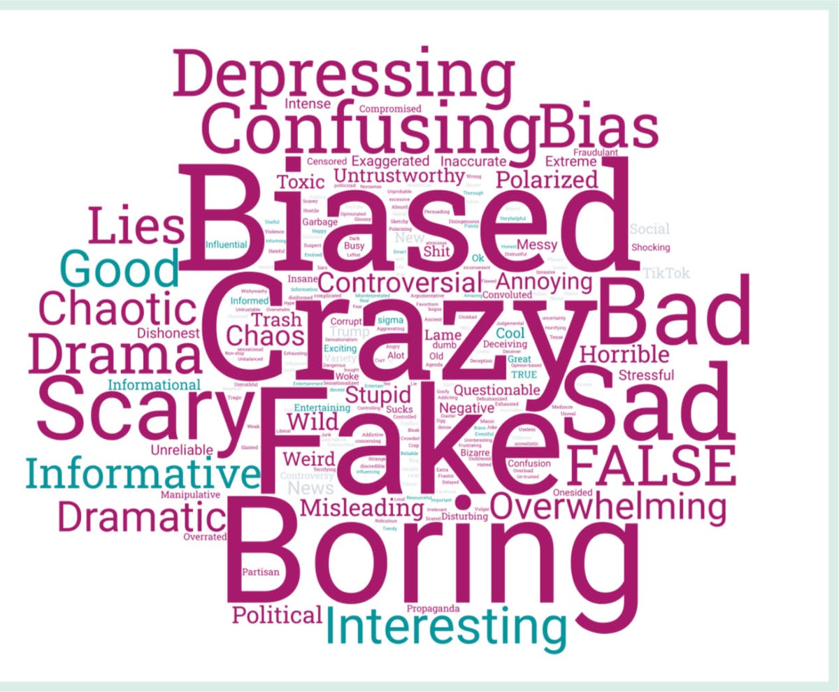 A graphic from the News Literacy Project. Photo courtesy of the News Literacy Project.