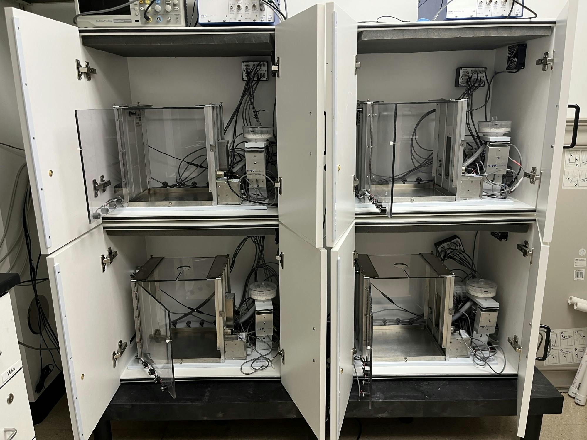 The operant boxes contain levers and lights, which work to simulate the exciting and chaotic nature of a real casino within the box. This works to challenge the rat’s decision making.
