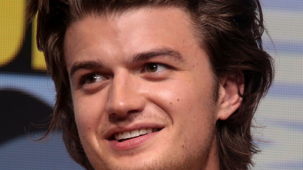 Joe Keery, most popular for his role as Steve Harrington in "Stranger Things," proves he's more than just an actor on his new album "Decide."