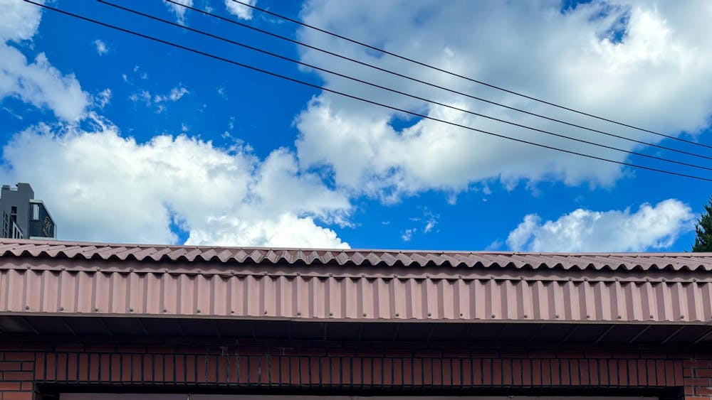 The Army Reserve Officer Training Corps offers students like Lily Rose the ability to expand their horizons.