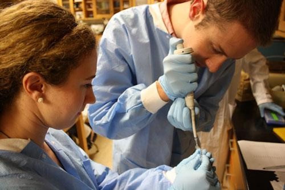 Miami University seniors Nathan Arnett and Bridgette Rawlins research single-celled organisms called protists from Antarctic lake water samples brought back by Assistant Professor of Microbiology Rachael Morgan-Kiss.