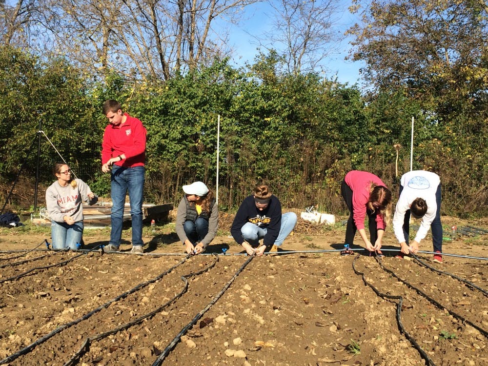 Students work at the Institute for Food off Morning Sun Road | Photo by Bonnie Meibers
