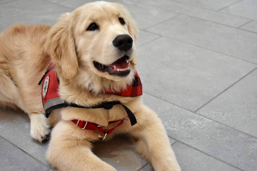Paws for a Cause members try to educate people on the correct way to act around service dogs. 