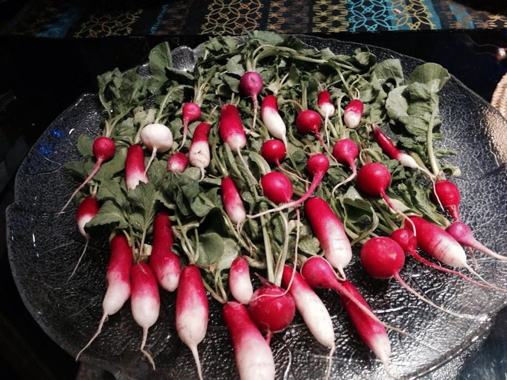 A chef’s mix packet grew into this. Do note the size of the radishes—even the longest ones cannot be larger than 2 inches. After a certain point, the radishes only grow tougher and spicier, not larger.