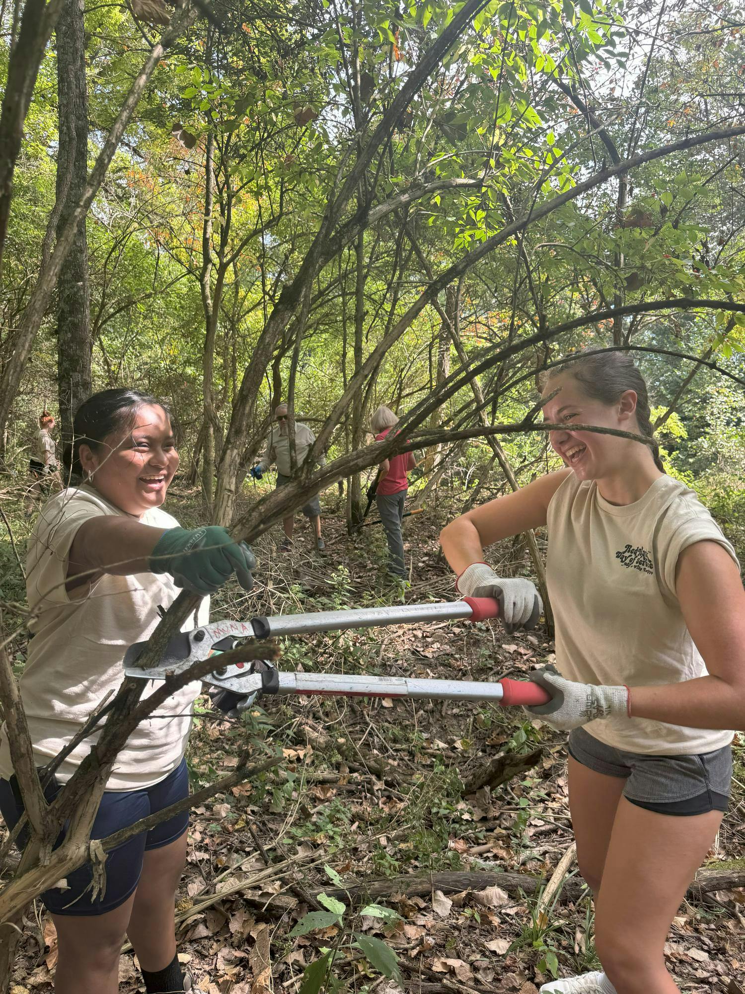 Students cutting Amur honeysuckle, an invasive shrub, at Redhawk Day of Service in Sep. 2025.  Photo provided by Nancy Feakes