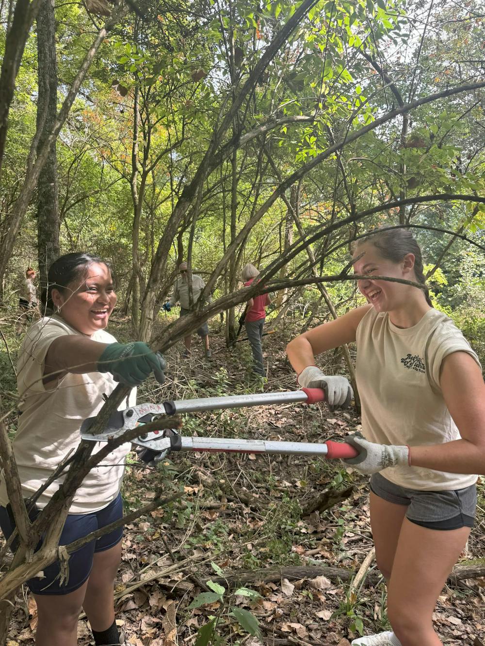 Students cutting Amur honeysuckle, an invasive shrub, at Redhawk Day of Service in Sep. 2025.  Photo provided by Nancy Feakes