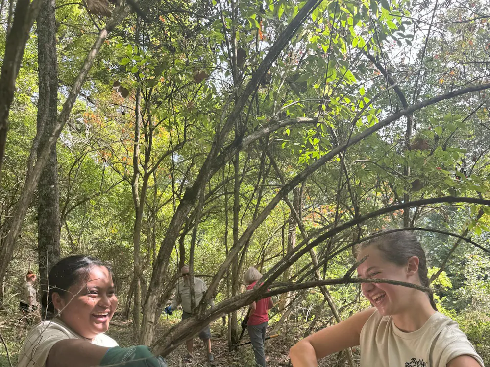 Students cutting Amur honeysuckle, an invasive shrub, at Redhawk Day of Service in Sep. 2025. Photo provided by Nancy Feakes
