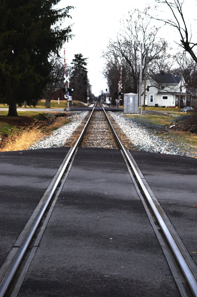 Darshini Parthasarathy - TMS Photo Staff