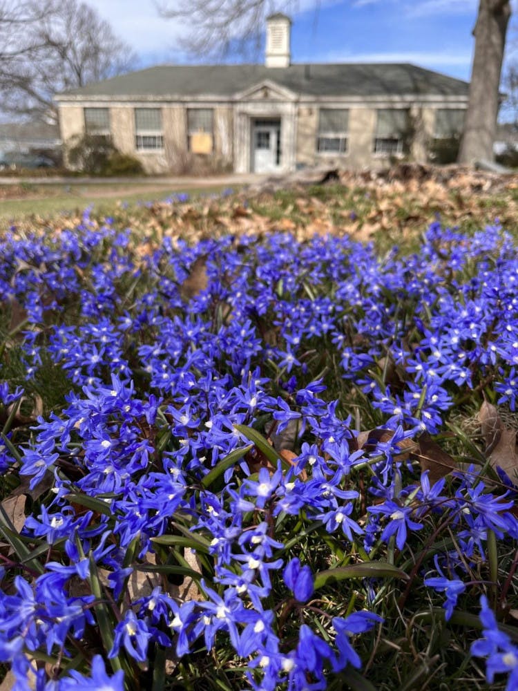 Image_3-e1681327839732