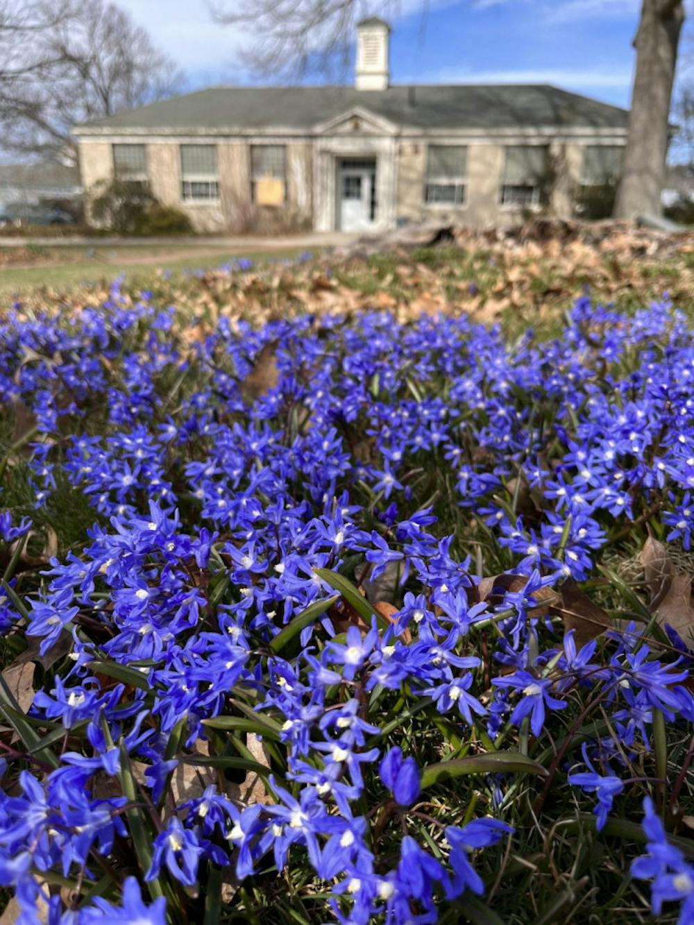 Image_3-e1681327839732