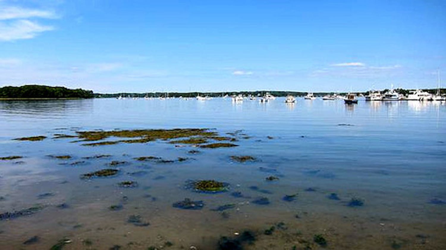 great-bay-courtesy-of-NHPR