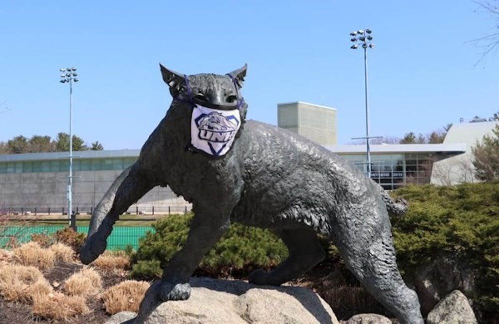 WILDCAT-Dan-Tuohy