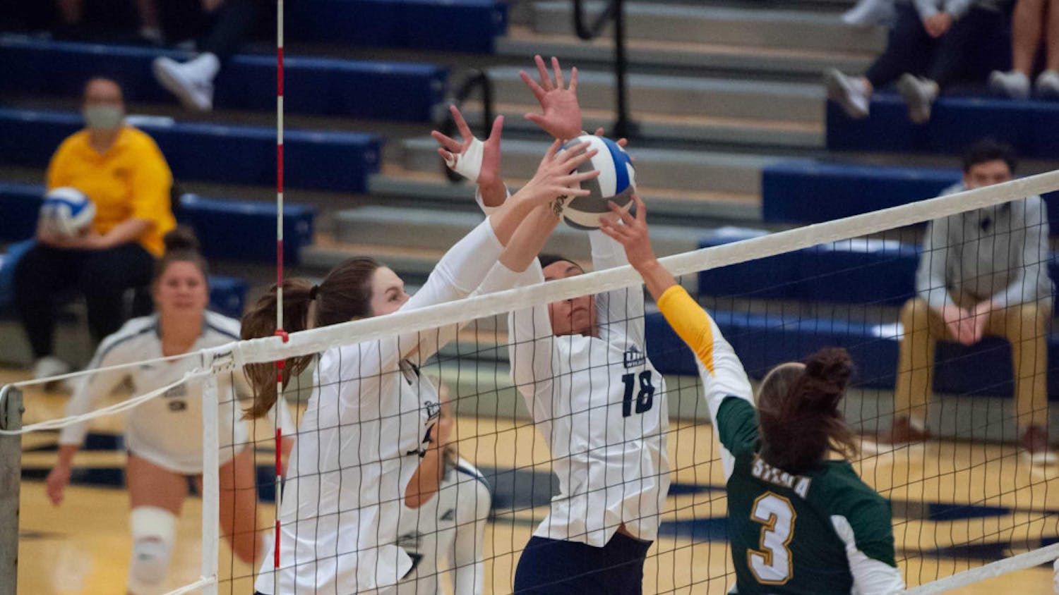 VB-Photo-Michelle-Bronner-scaled