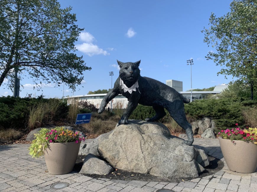 Screen-Shot-2020-09-30-at-8.05.45-PM