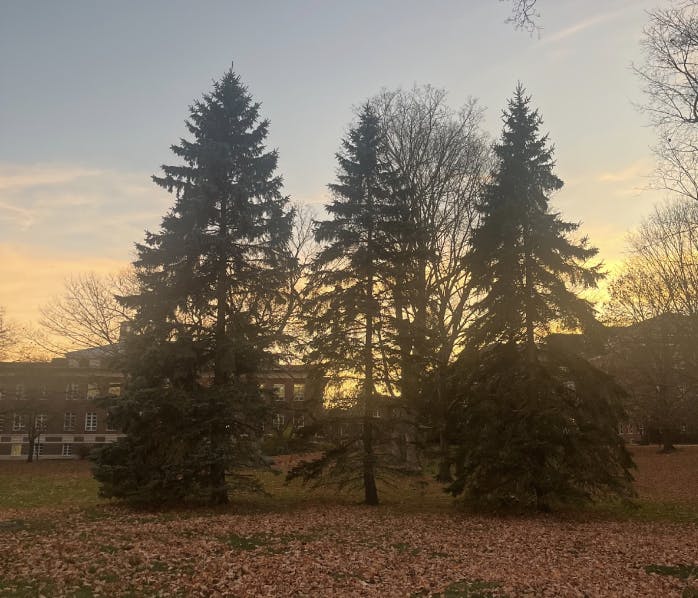 Screenshot-2024-11-21-at-4.21.29 PM