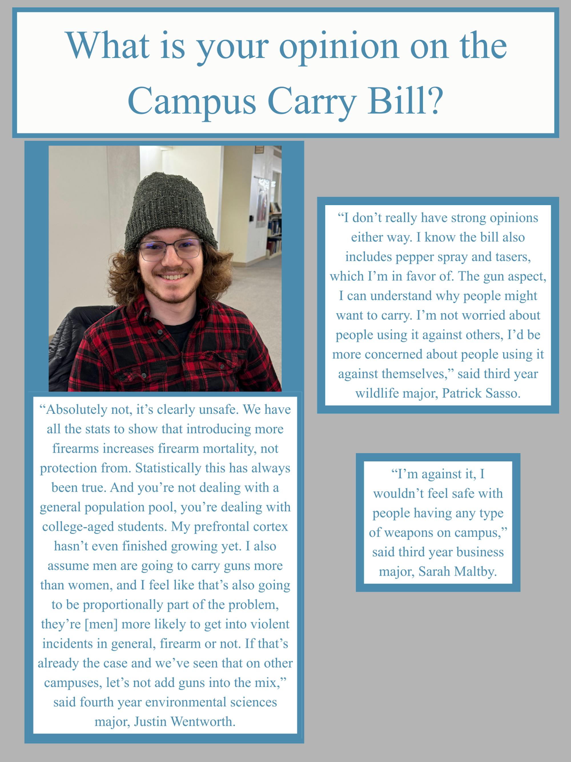 Campus carry bill - 3