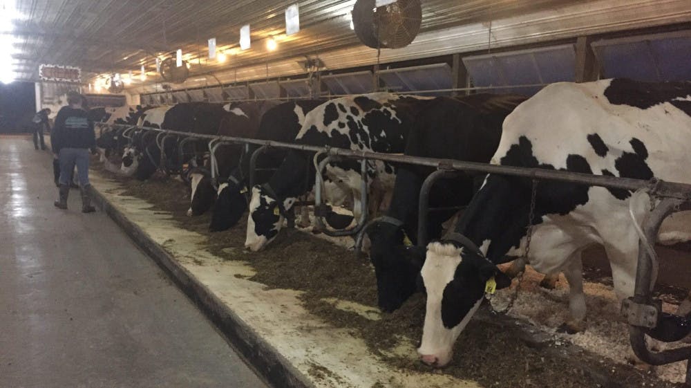 cropped-IMG_8044-scaled