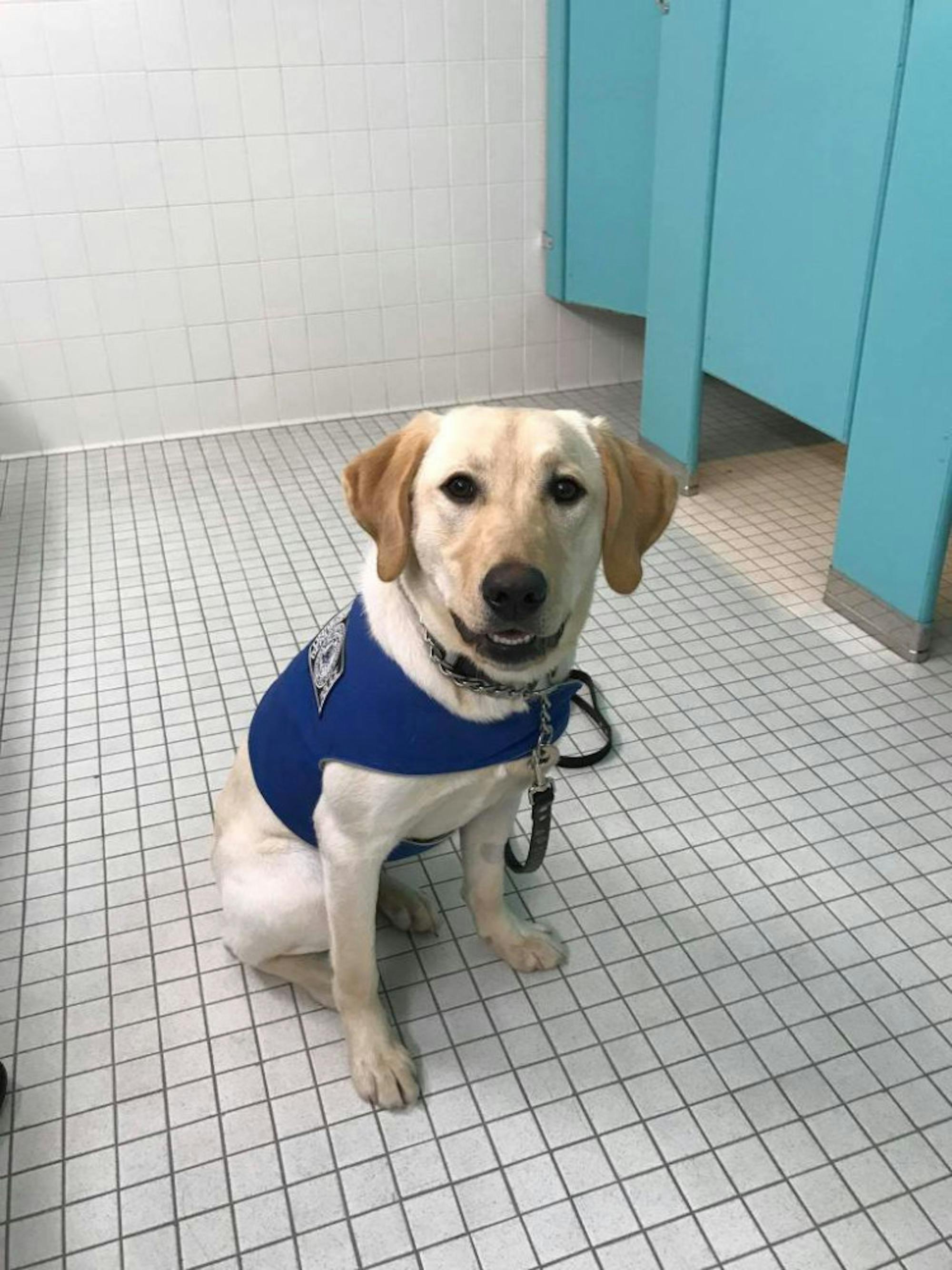 77406800_2753654114659017_1017455706355269632_o