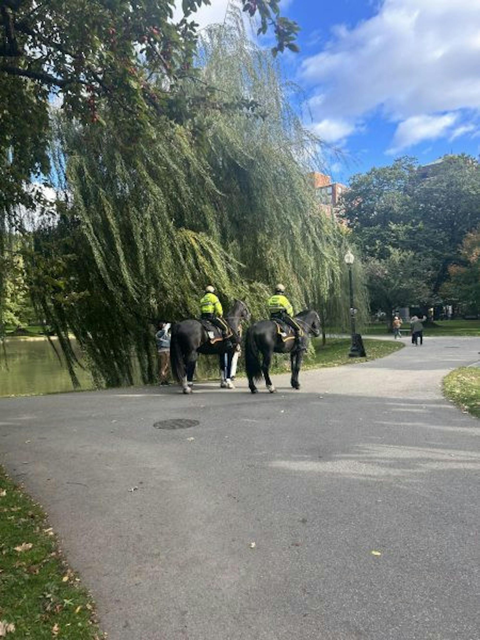 WCW_-_Park_Rangers_-_Boston_Public_Gardens-e1730232704482-450x600