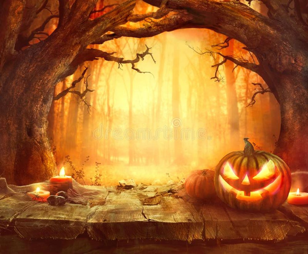 wood-background-halloween-pumpkin-dark-forest-99703245