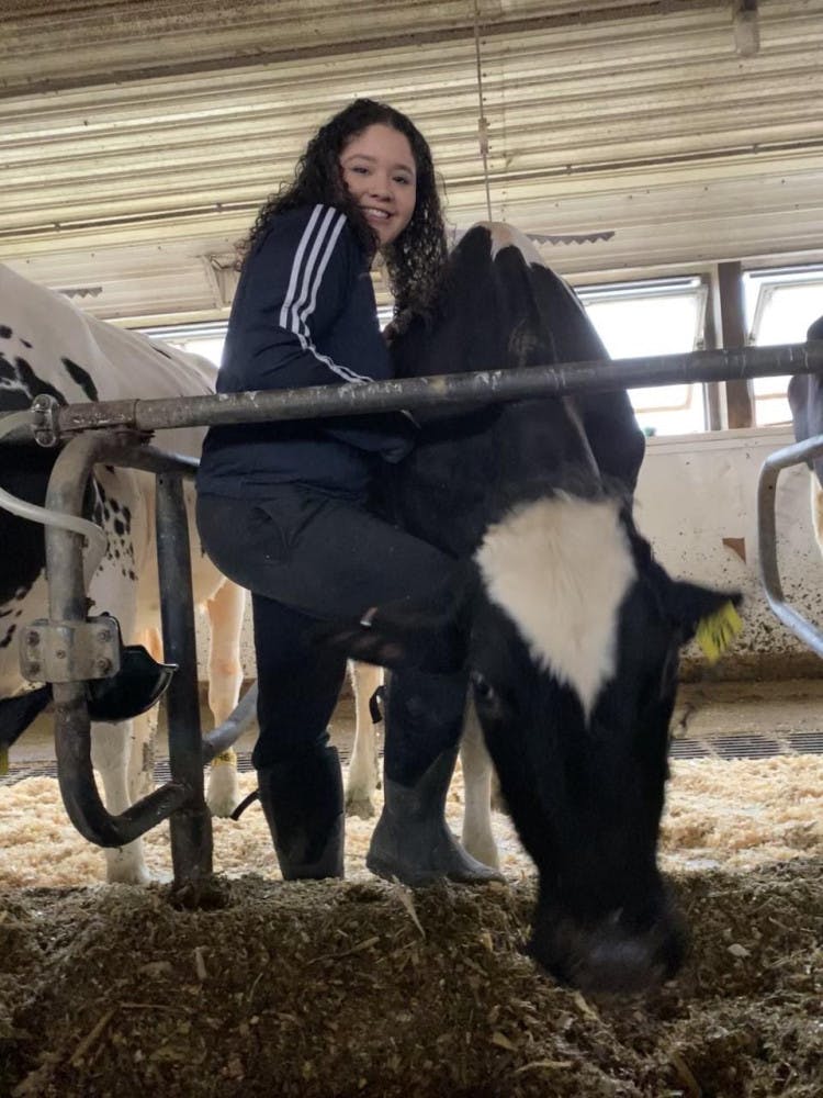 CREAM-photo-courtesy-of-Brianda-Mendez